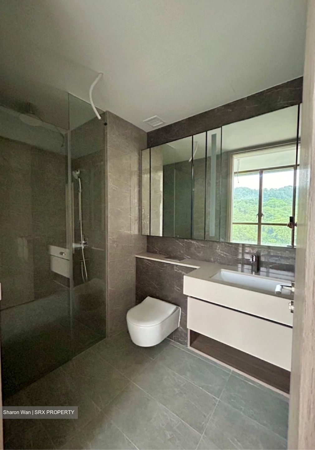 Dairy Farm Residences (D23), Apartment #430091321